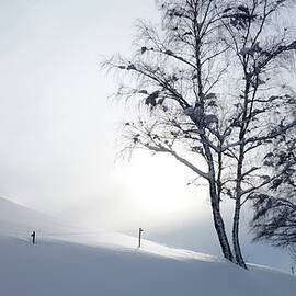 Snow, Fog and Sun by Imi Koetz