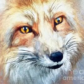 Snow Fox by Tina LeCour