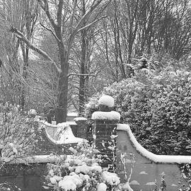 Snow Garden 1 BW by Lynne Iddon