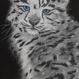 Snow Leopard Cub by Dreamz -