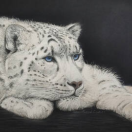 Snow Leopard - Silent Guardian - Pastel by Karen Conger