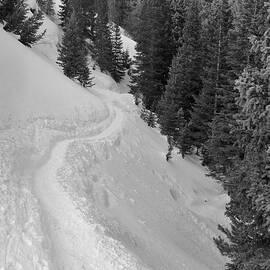 Snow Trekking by Larry Kniskern