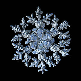 Snowflake 2014-12-26_0125-35 New Black