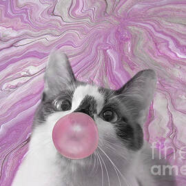 Snowshoe Cat with Bubble Gum SC by Elisabeth Lucas