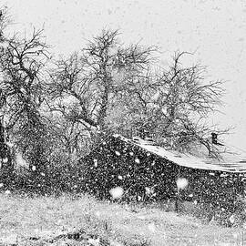 Snowstorm - Abandoned Barn by Jerry Abbott