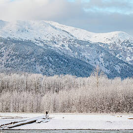 Snowy Alaskan Landscape by Joan Carroll