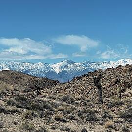 Snowy Mountains in the Desert by Collin Westphal