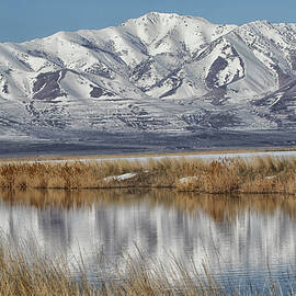 Snowy Mountains by Ruth Jolly