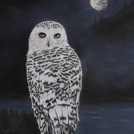SNOWY OWL 1189 pastel by Dreamz -