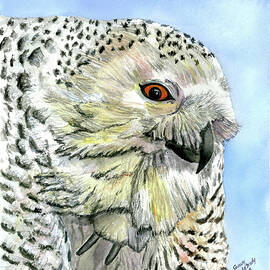 Snowy Owl Portrait by Linda Brody