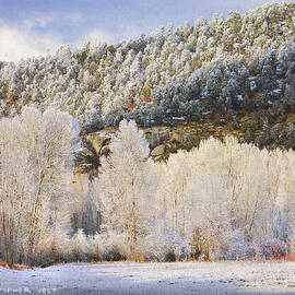 Snowy Trees Lost Canyon by R christopher Vest