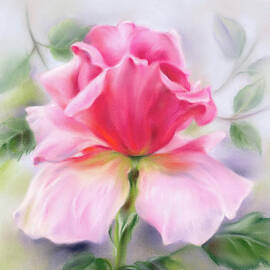 Soft Pink Rose with Leaves by MM Anderson