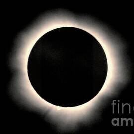Solar Eclipse at Totality April 2024 in WNY by Rose Santuci-Sofranko