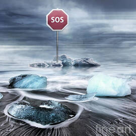 Sos by Jacky Gerritsen