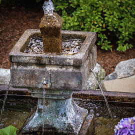 Source of Water Flow by D Lee