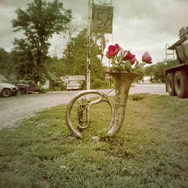 Sousaphone Planter, 1977 by Photographs By VanWye