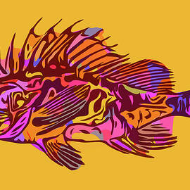 South Australian Cobbler Fish by Susan Maxwell Schmidt