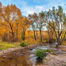 South Boulder Creek In Eldorado Springs #2 by Lorraine Baum