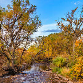 South Boulder Creek In Eldorado Springs by Lorraine Baum