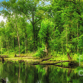 South Fork of Holston River panorama by Shelia Hunt