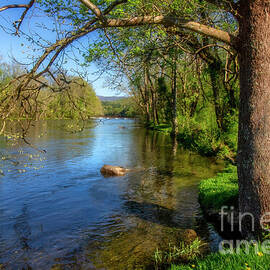 South Holston River in Spring by Shelia Hunt