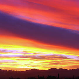 Southern Arizona Winter Sunset Vista by Douglas Taylor