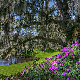 Southern Charm by Maryanne Keeling