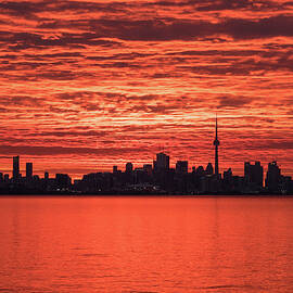 Spectacular Skies - Toronto Skyline Minutes Before Sunrise by Georgia Mizuleva