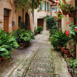 Spello - The Most Beautiful Village of Italy - The Flower Town 28 by Jenny Rainbow