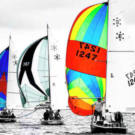 Spinnakers flying, in black and white and color. by Frank Parisi