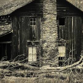 Spirited Homestead Cabin by Robert Nagy