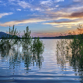 Spring time. At the lake. At sunset. Spain