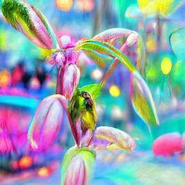 Spring Wonderland  by Cristi Sturgill