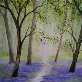 Sprint Bluebell Woodlands by Ceri Jones