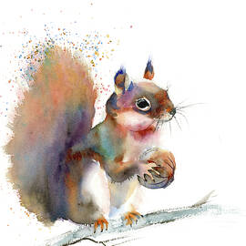 Squirrel by Olga Tchefranov