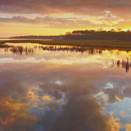Low Country Sunrise by Bill Chambers