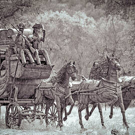Stagecoach by Debra Kewley