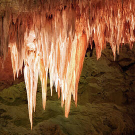 Stalactites, Carlsbad Cavern by Douglas Taylor