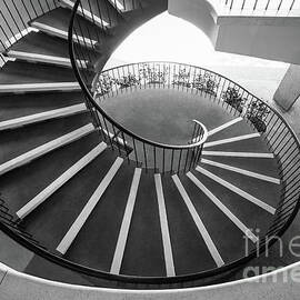 Stanford University Tressider Union Stair by University Icons