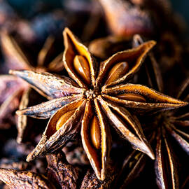 Star Anise Spice by Bj S