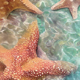 Starfish by Calvin Mullins