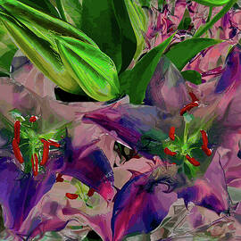 Stargazer Lilies Real and Imagined by Amy Stone