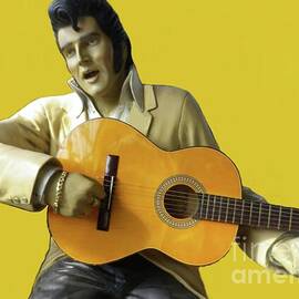 Stature of Elvis  by Julie Grimshaw