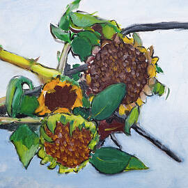 Still Sunflowers. by Anthony Van Gelder