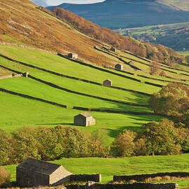 Stone barns in Swaledale, Yorkshire Dales, England