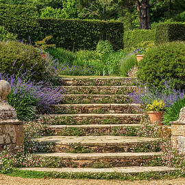 Stone steps into a hedged flower garden on the Isle of Wight by Steven Heap