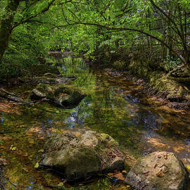 Stony Creek by Geoff Farmer