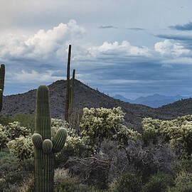 Stormy Desert Skies At Sunset  by Saija Lehtonen