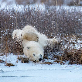 Stretch by Mark Hunter