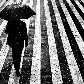 Stripes 01 Monochrome Composition by Matthias Hauser